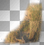 mejserr grass