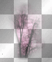 AJESIEN  AUTUMN  TRANSPARENT TREE 