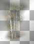 AJESIEN  AUTUMN  TRANSPARENT TREE FALL