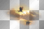 AJESIEN AUTUMN TRANSPARENT BIRD AJESIEN AUTUMN TRANSPARENT BIRD