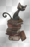 gatito encima libros