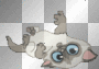 cat cat