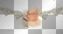 ☺©Peach Rose Divider®☺