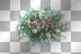 ☺©Cluster Of Jewels®☺