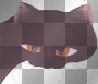black cat face animated