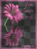 Feliz Cumpleano Happy Birthday Spanish