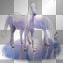 ☺©White Horses®☺