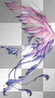 Butterfly Wing Left