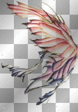 Butterfly Wing Left