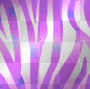 zebra bg zebra bg