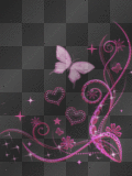 butterfly AxDxN