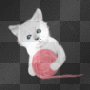 <3 ptite boule de poils <3