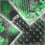green bg