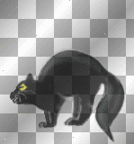 Black Halloween Cat
