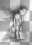 black & white fairy