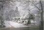 nieve