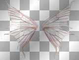 wing
