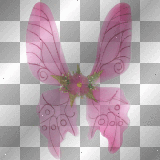 fairy wings