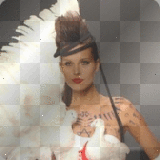 th dove girl