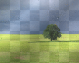 PRADERA
