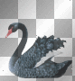 Accessoire image » 