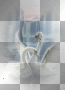 ☺swans:)