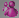 msn pink