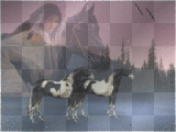 Indian woman and horses