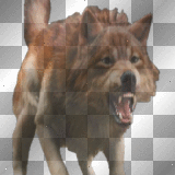 wolf jacob ev
