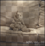Tanzende Katze
