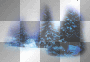 Winter trees