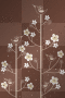 background bg 
