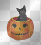 Cat in Jack o' Lantern