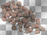 ☺©Bunch Of Acorns®☺