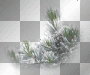ZIMA WINTER TRANSPARENT 