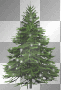 ZIMA WINTER ANIMATED