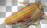 Corn