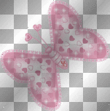 borboleta