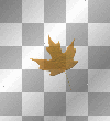 fall autumn leaves brown