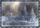 winter wonderland