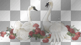 SWAN WITH A RED ROSES! MILADYNANCY!