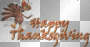 happy thangsgiving