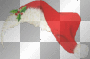 ☺©Santa's Hat®☺