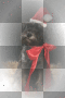 ☺©Christmas Dog®☺