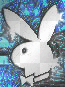 Playboy