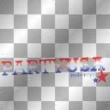 Party in the usa