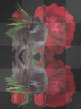 VERY sm reflection rose