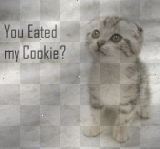 You Eated my Cookie ?