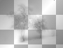 Winter trees Winter trees