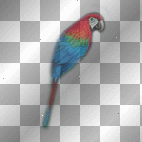 mejserr parrot